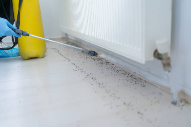 Best Residential Pest Control  in Goldens Bridge, NY