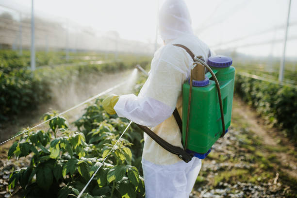 Reliable Goldens Bridge, NY Pest Control Solutions